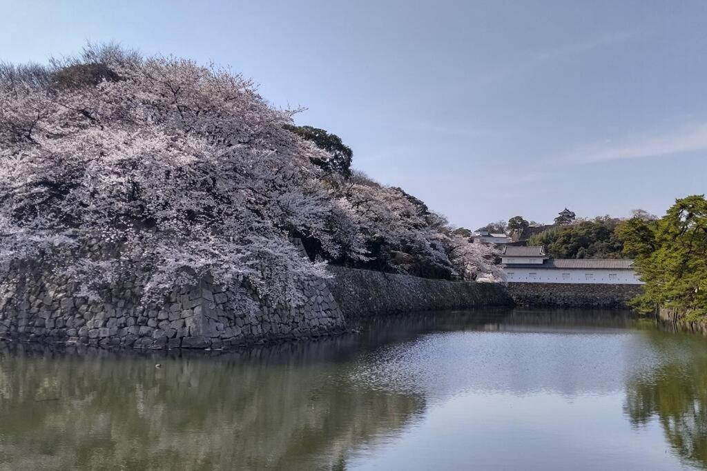 Villa Hikone Castle Экстерьер фото